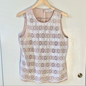 Ann Taylor Loft Shirt